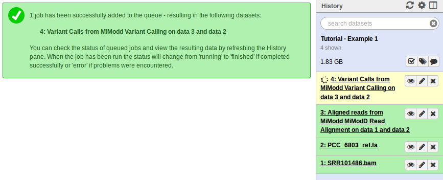 _images/Ex1_SNP_calling_running.png
