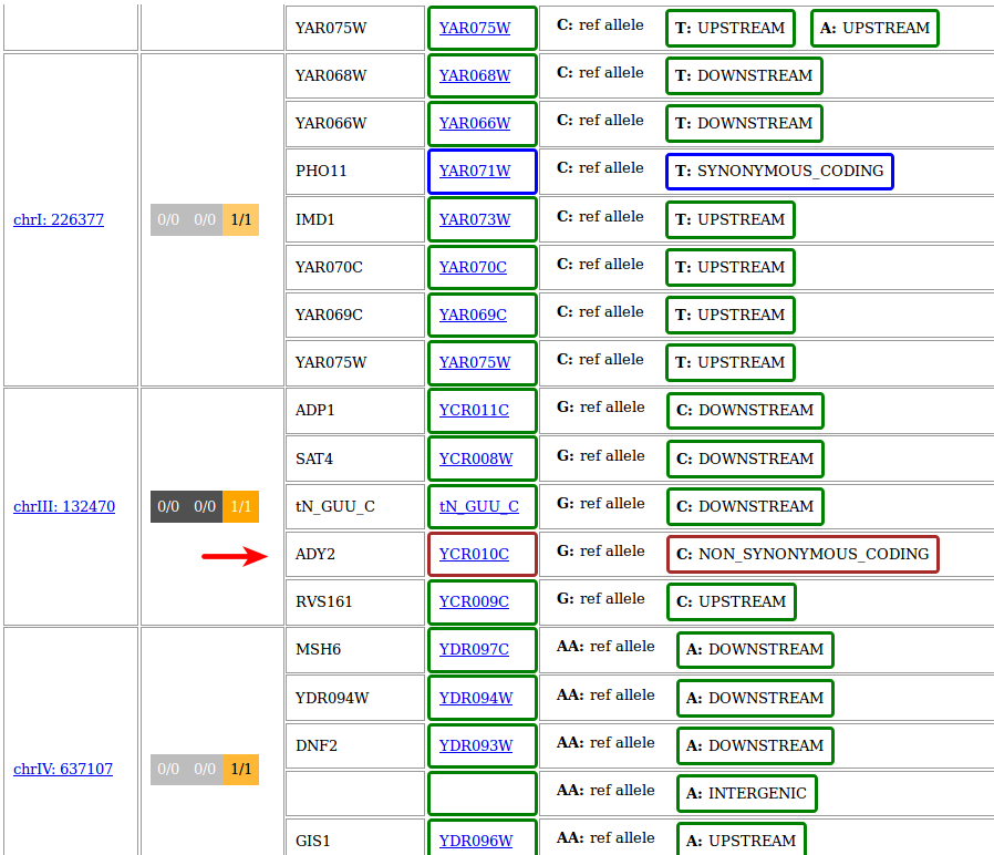 _images/Ex2_Q4_result2.png