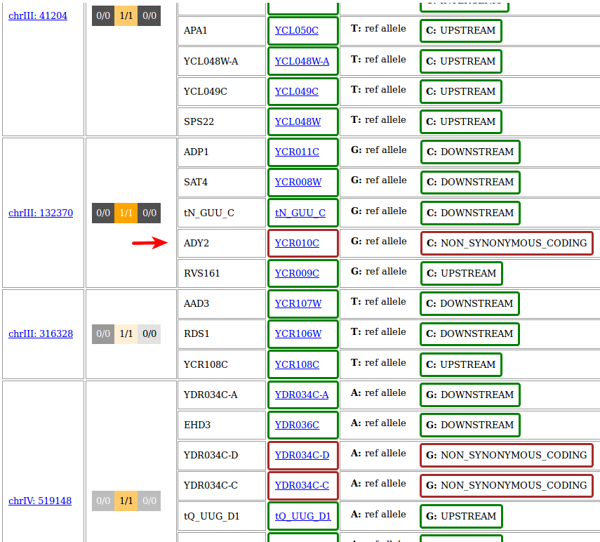 _images/Ex2_Q4_result3.png