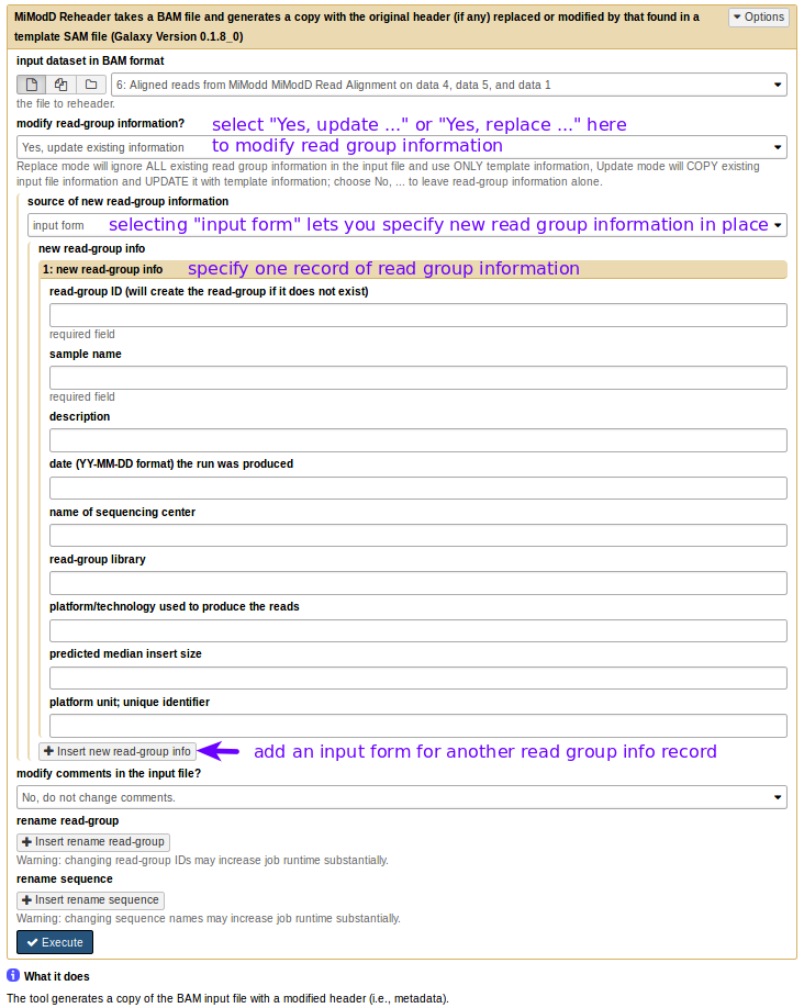 _images/reheader_rg.png