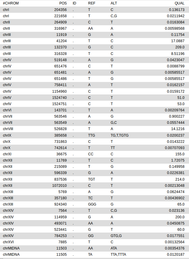 _images/Ex2_Q2_results.png