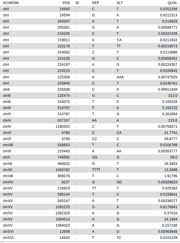 _images/Ex2_Q3_results.png