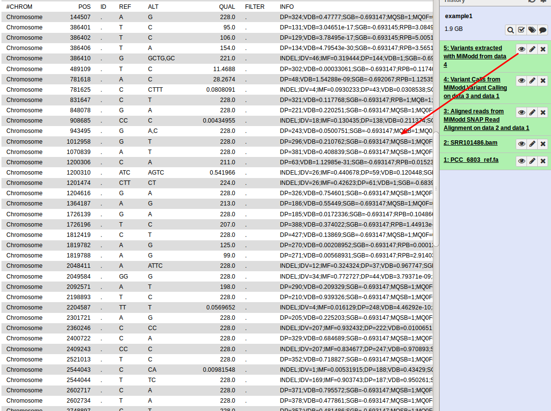 _images/Ex1_variant_view.png