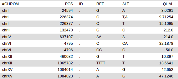 _images/Ex2_Q3_results.png