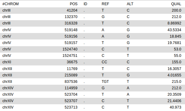 _images/Ex2_Q2_results.png